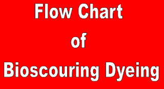 Bio-Scouring Dyeing